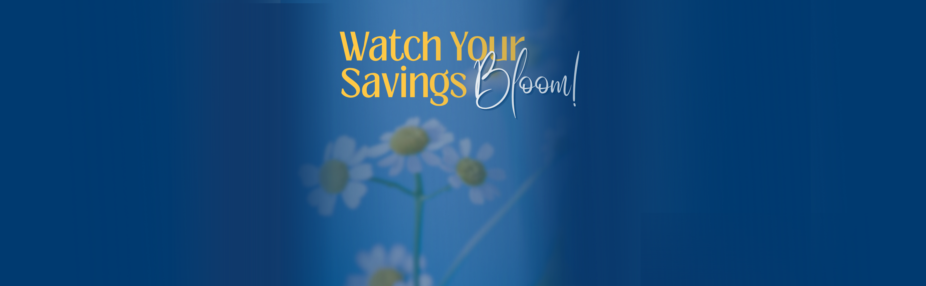 Watch Your Savings Bloom