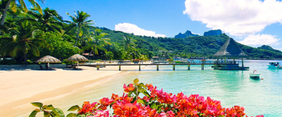 Callout preview image for South Pacific Paradise